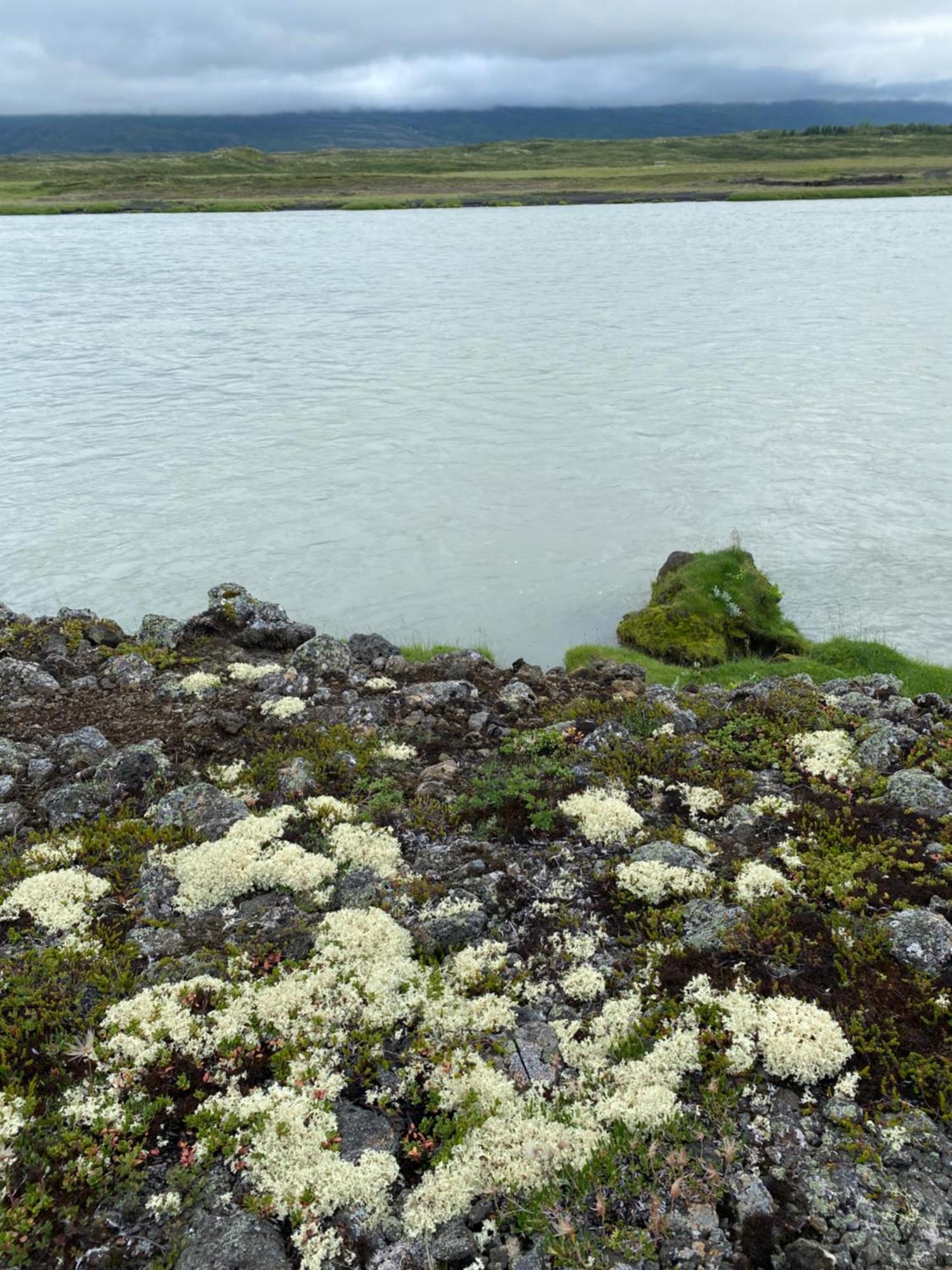 Fljotsbakki Hotel Godafoss Экстерьер фото